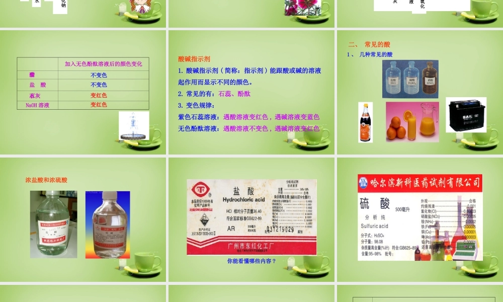 九年级化学下册 第10单元 课题1 第1课时 常见的酸课件 (新版)新人教版 课件