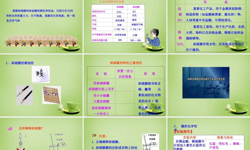 九年级化学下册 第10单元 课题1 第1课时 常见的酸课件 (新版)新人教版 课件