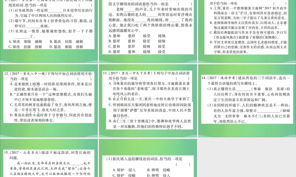 中考语文复习 第一部分 语文知识及运用 专题二 词语、成语的理解与运用课件