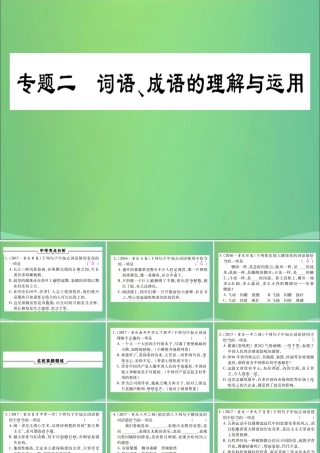 中考语文复习 第一部分 语文知识及运用 专题二 词语、成语的理解与运用课件