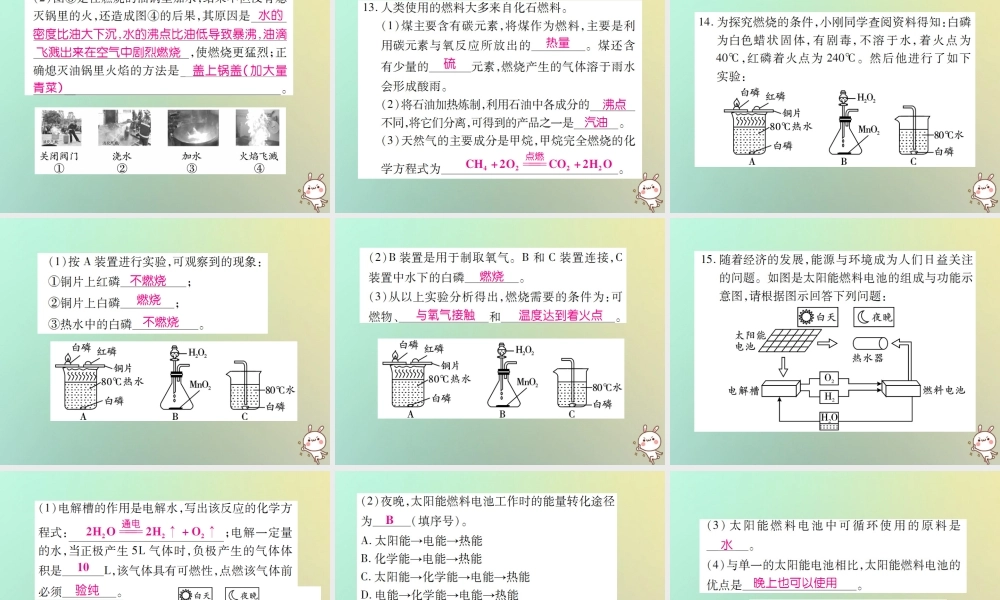 九年级化学上册 第二部分 期末复习攻略 综合专题九 燃料及其利用课件 (新版)新人教版 课件