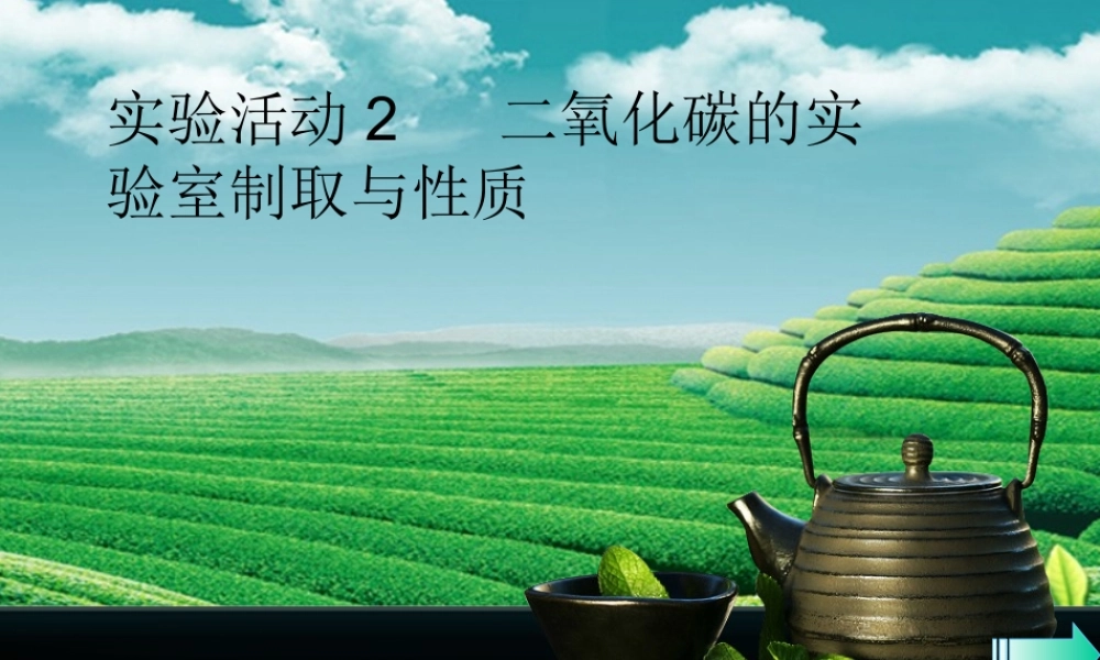 九年级化学上册 第六单元 碳和碳的化合物 实验活动2 二氧化碳的实验室制取与性质导学课件 (新版)新人教版 课件