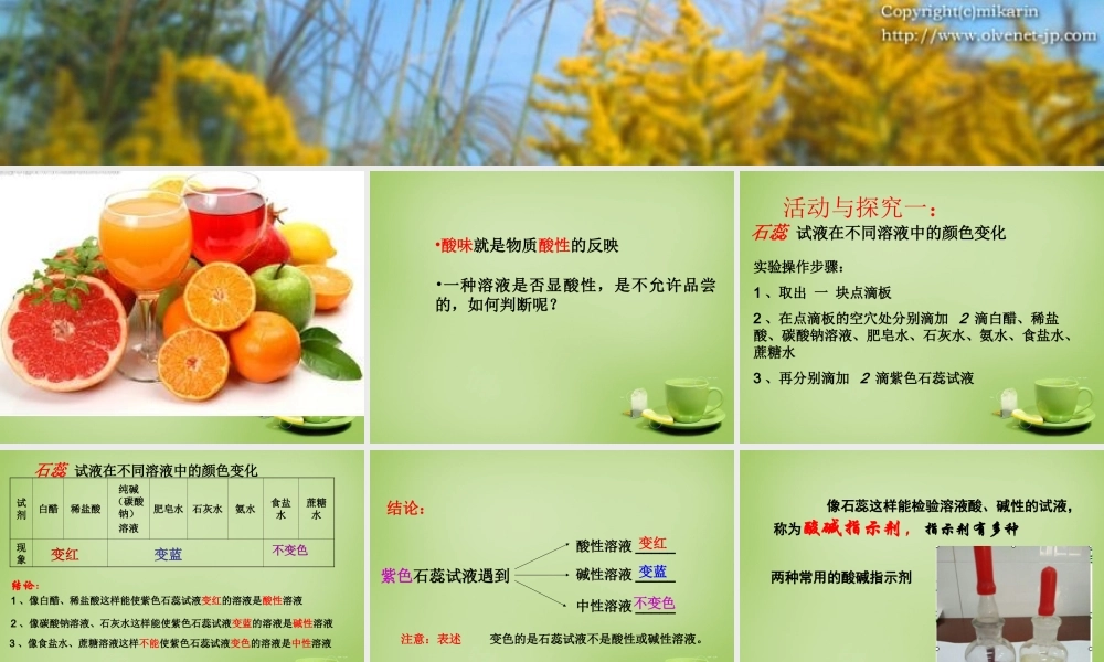 九年级化学全册(71 溶液的酸碱性)酸性溶液和碱性溶液课件 (新版)沪教版 课件
