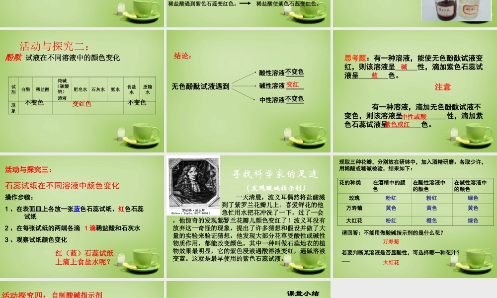 九年级化学全册(71 溶液的酸碱性)酸性溶液和碱性溶液课件 (新版)沪教版 课件