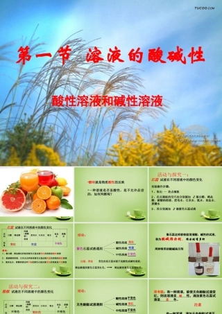九年级化学全册(71 溶液的酸碱性)酸性溶液和碱性溶液课件 (新版)沪教版 课件