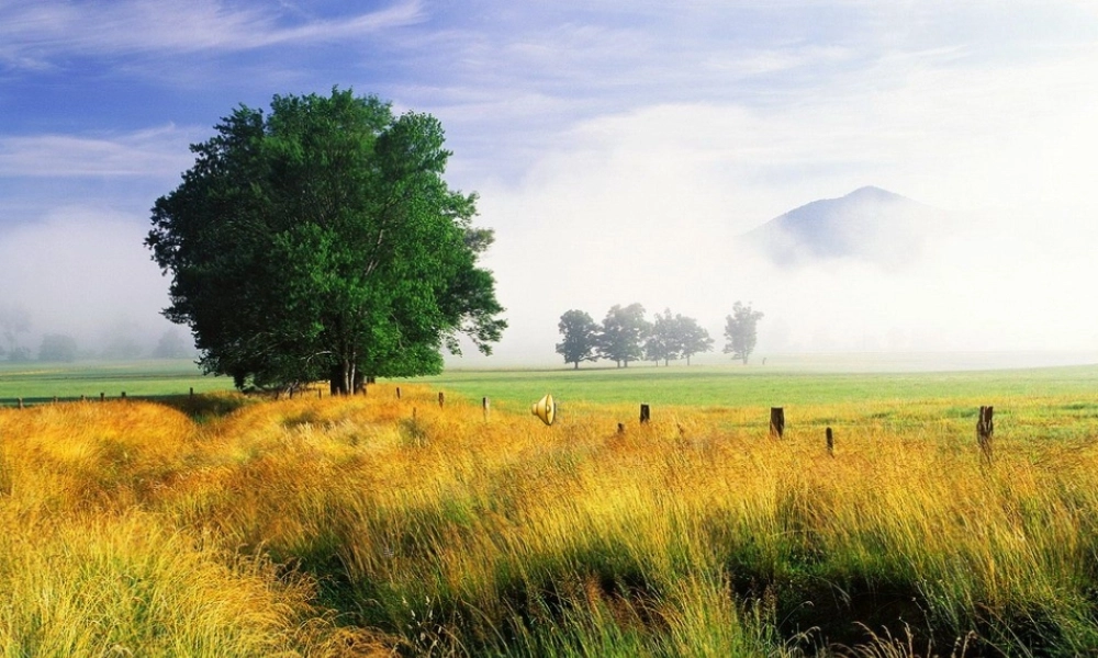 七年级数学(上)等式的性质1课件新人教版 课件