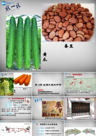 七年级历史上册 第16课 丝绸之路的开辟课件1 岳麓版 课件