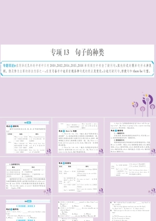 中考英语总复习 第二部分 专项语法 高效突破 专题13 句子的种类课件
