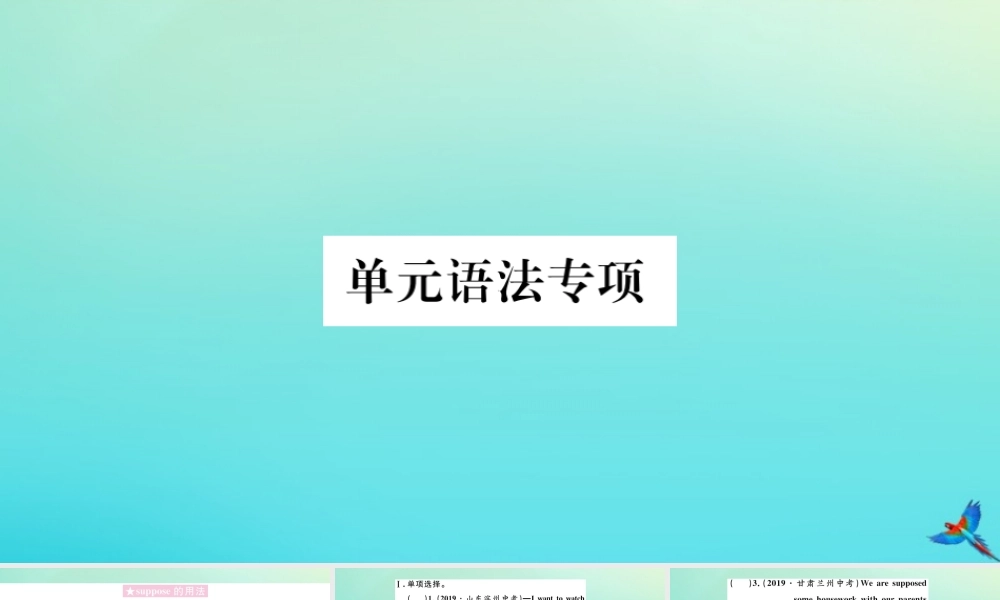 (河南专版)九年级英语全册 Unit 10 You re supposed to shake hands单元语法专项习题课件 (新版)人教新目标版 课件