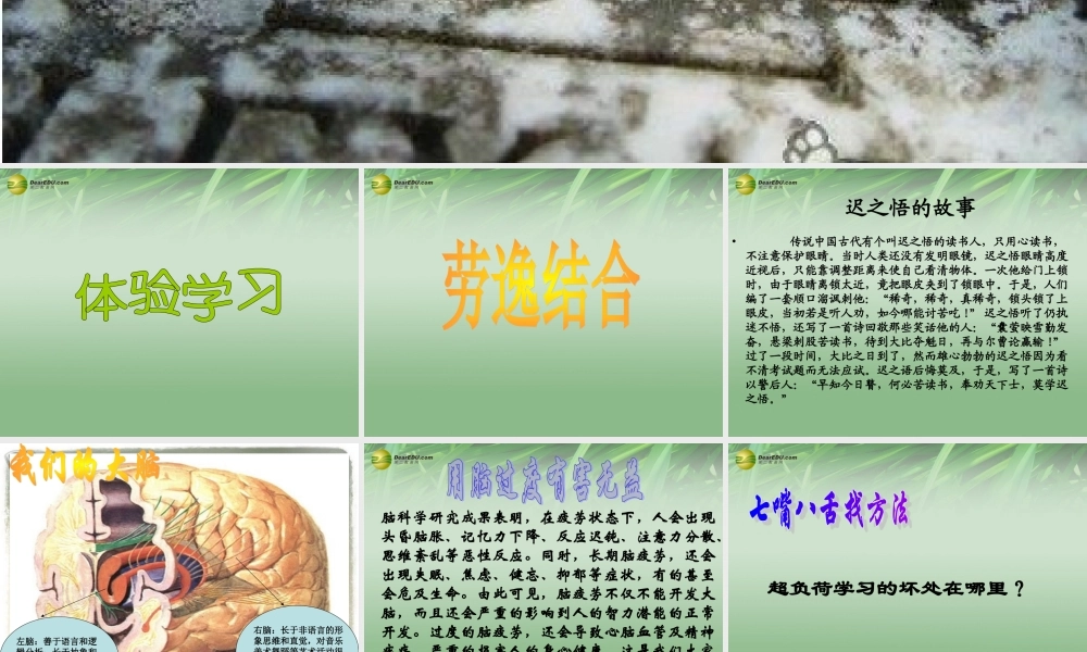 七年级政治上册 第2单元 第5课文武之道一张一弛课件 教科版 课件