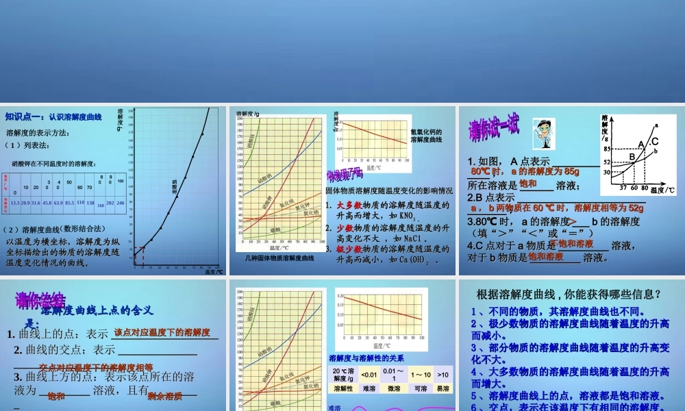 九年级化学下册 第八单元 第二节 第二课时 溶解度曲线 粗盐提纯课件 (新版)鲁教版 课件