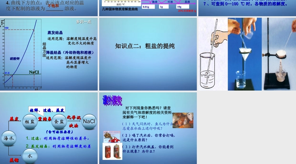 九年级化学下册 第八单元 第二节 第二课时 溶解度曲线 粗盐提纯课件 (新版)鲁教版 课件