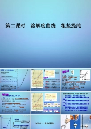 九年级化学下册 第八单元 第二节 第二课时 溶解度曲线 粗盐提纯课件 (新版)鲁教版 课件