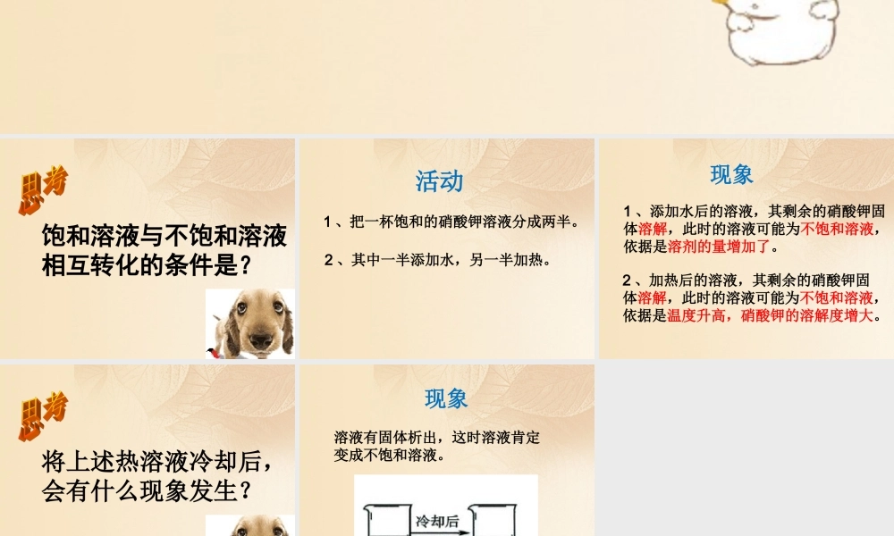 九年级化学下册 72 物质溶解的量 观察活动素材 (新版)粤教版 素材