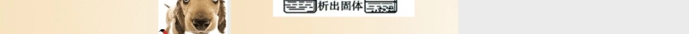 九年级化学下册 72 物质溶解的量 观察活动素材 (新版)粤教版 素材
