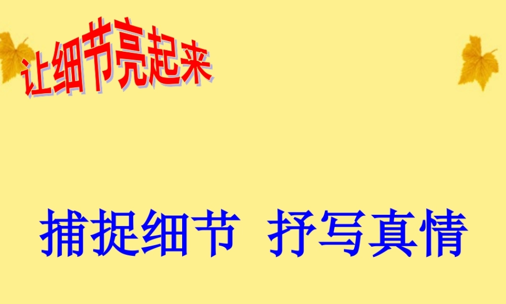 中考语文 让细节亮起来-捕捉细节 抒写真情课件