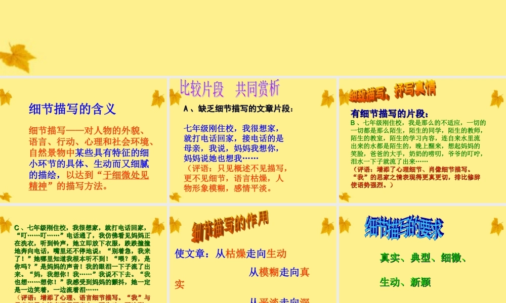 中考语文 让细节亮起来-捕捉细节 抒写真情课件