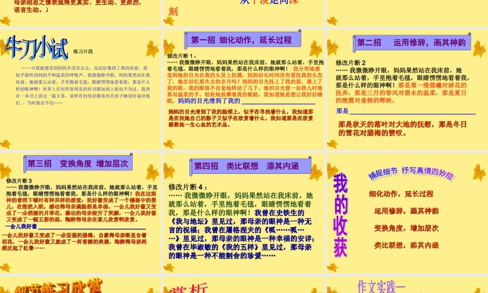 中考语文 让细节亮起来-捕捉细节 抒写真情课件