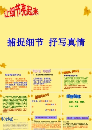中考语文 让细节亮起来-捕捉细节 抒写真情课件