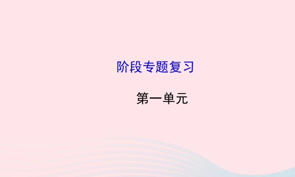 七年级历史下册 阶段专题复习 第一单元繁荣与开放的社会课件 北师大版 课件