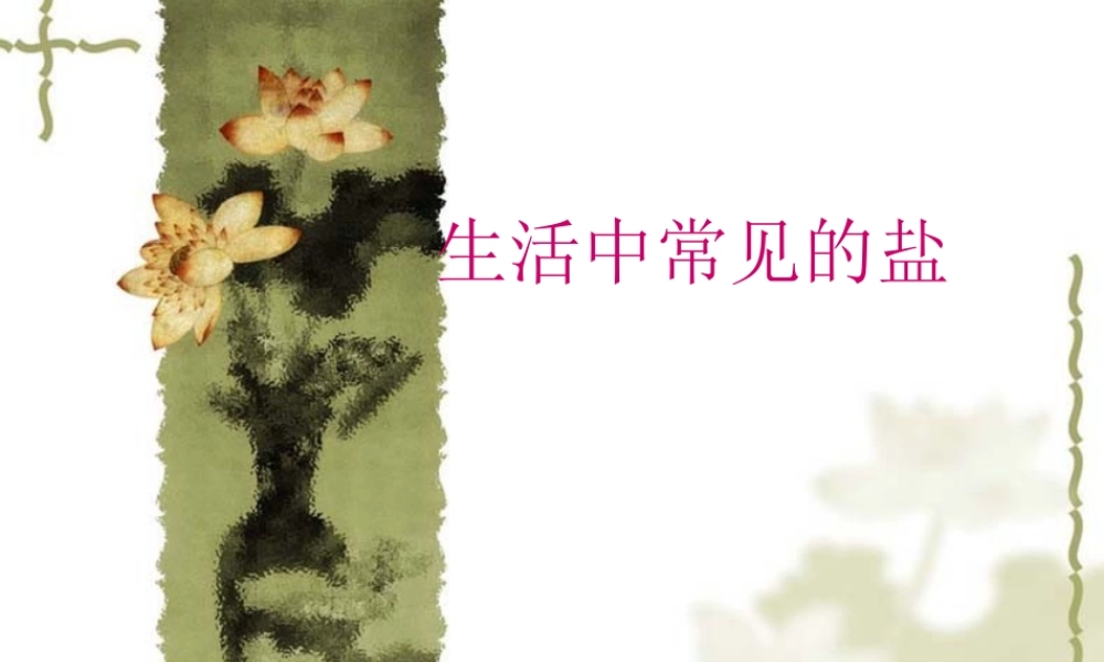 九年级化学下册第十一单元课题1 生活中常见的盐课件人教新课标 课件