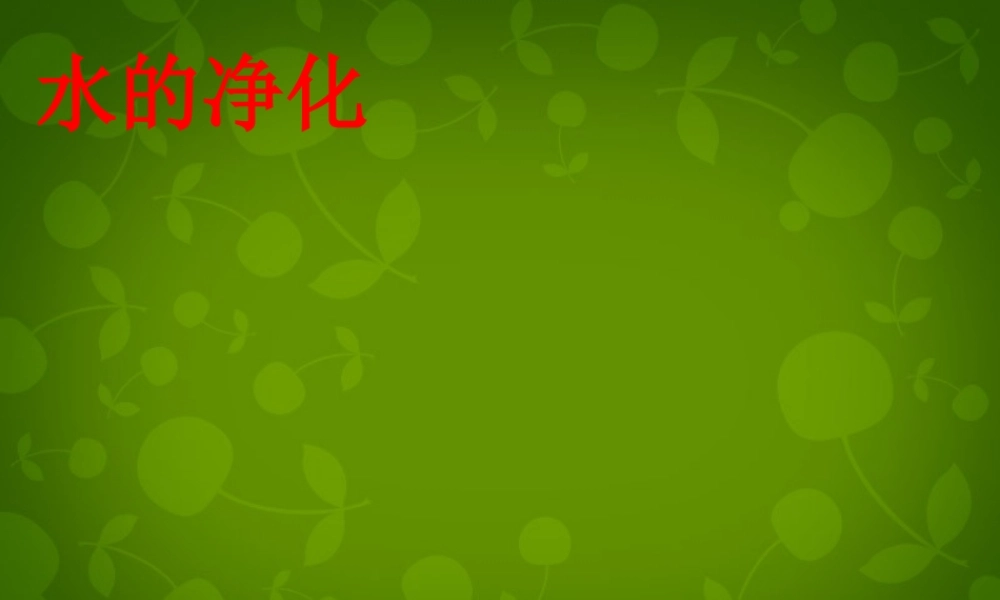 九年级化学上册 4.2 水的净化课件 (新版)新人教版 课件
