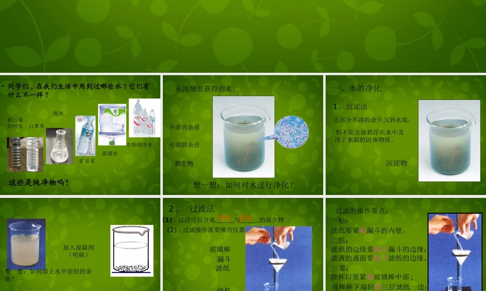 九年级化学上册 4.2 水的净化课件 (新版)新人教版 课件