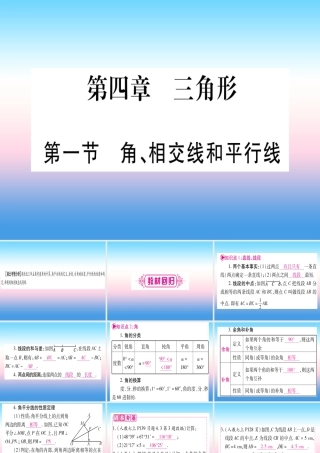(湖北专版)中考数学总复习 第1轮 考点系统复习 第4章 三角形 第1节 角、相交线和平行线习题课件