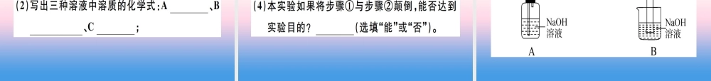 九年级化学下册 第十单元 酸和碱 第3课时 常见的碱 碱的化学性质习题课件 (新版)新人教版 课件