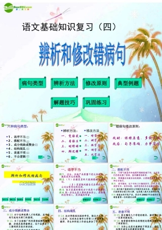中考语文复习专题课件 辨析和修改病句 课件