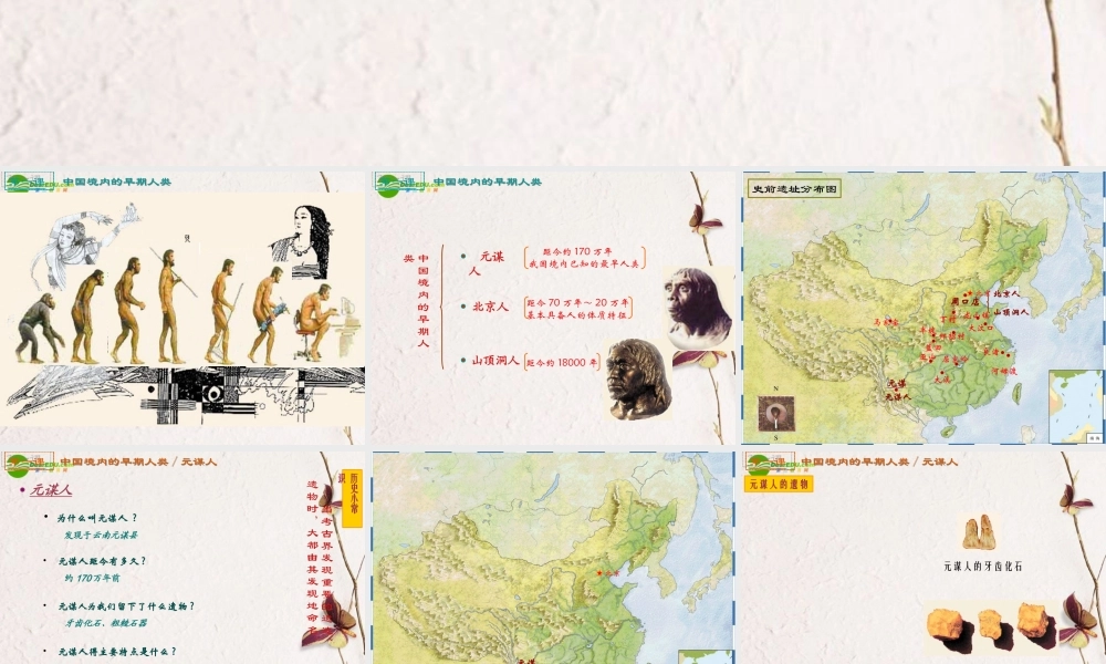 七年级历史 第一学习主题(中华文明起源)第1课(中国境内的早期人类)课件