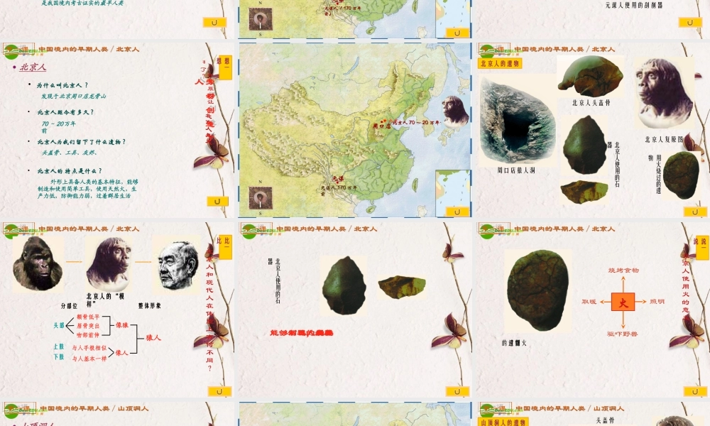 七年级历史 第一学习主题(中华文明起源)第1课(中国境内的早期人类)课件