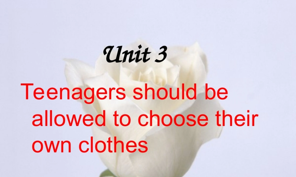 九年级unit3课件  课件