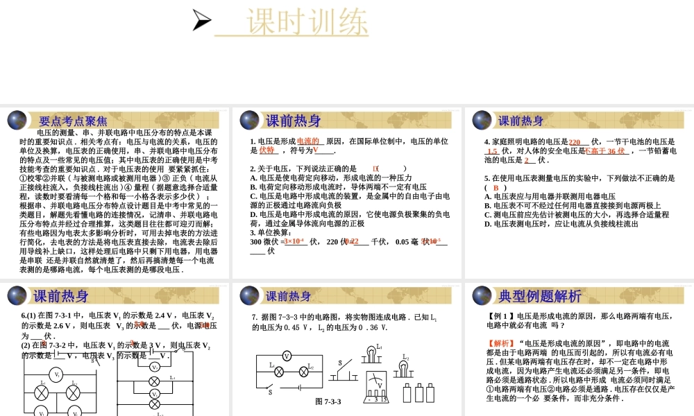 中考物理专题复习 电压 课件