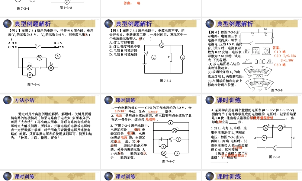中考物理专题复习 电压 课件