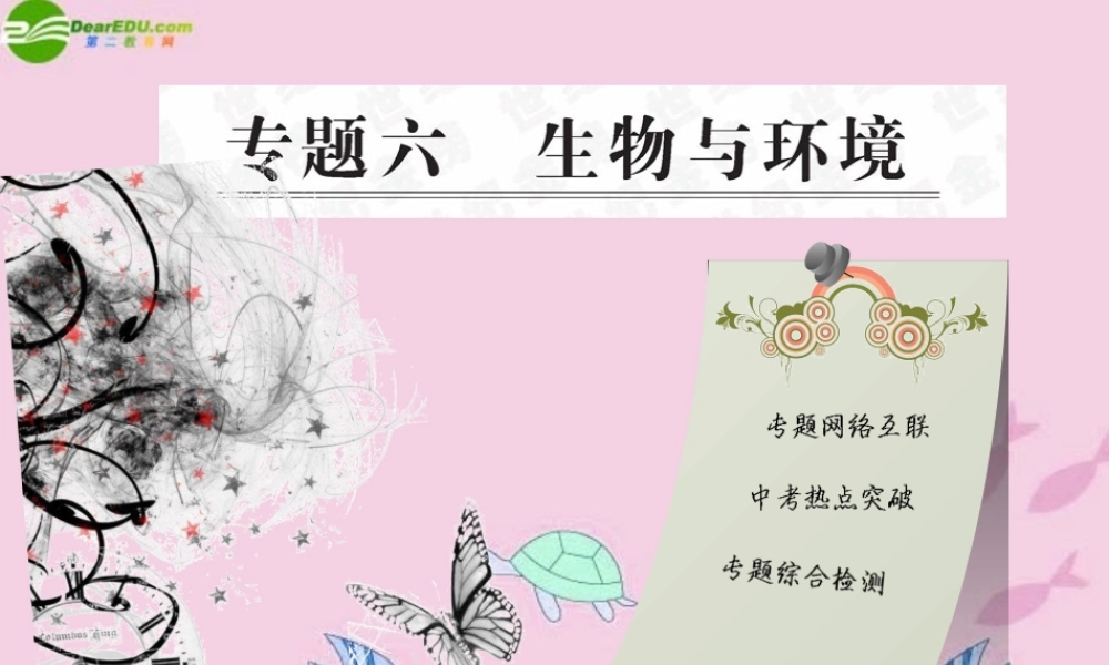 中考生物学业水平考试专题复习 专题六生物与环境课件
