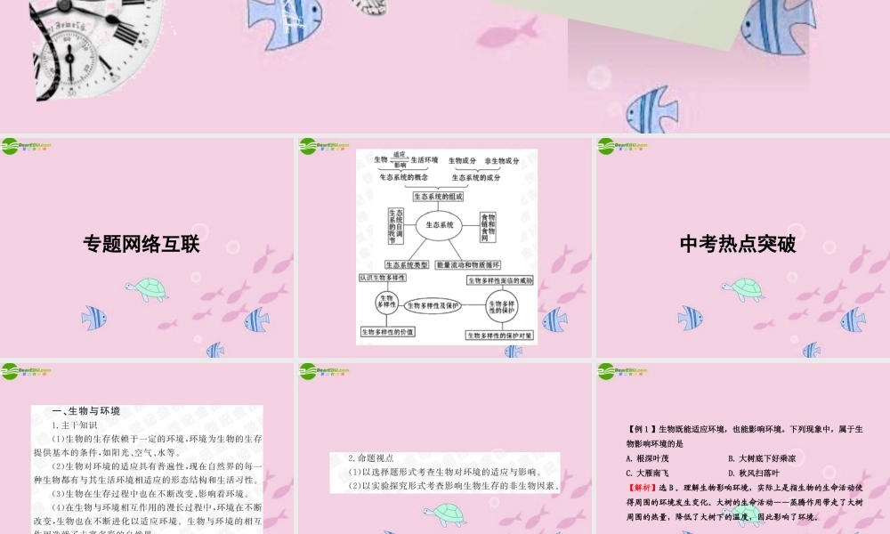 中考生物学业水平考试专题复习 专题六生物与环境课件