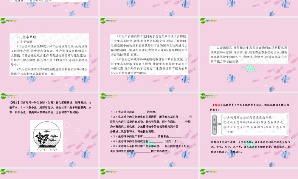 中考生物学业水平考试专题复习 专题六生物与环境课件