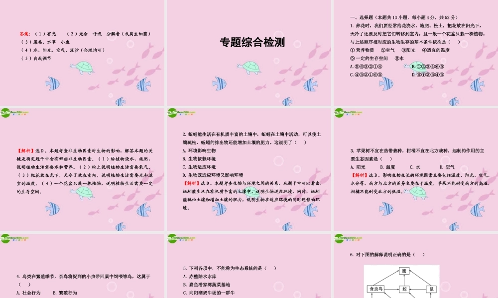 中考生物学业水平考试专题复习 专题六生物与环境课件