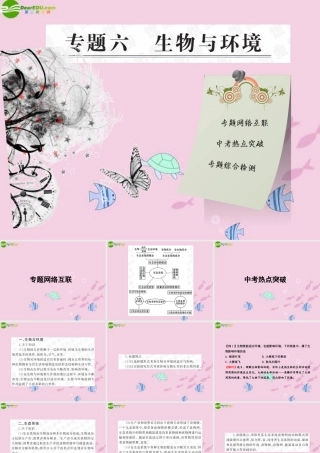 中考生物学业水平考试专题复习 专题六生物与环境课件