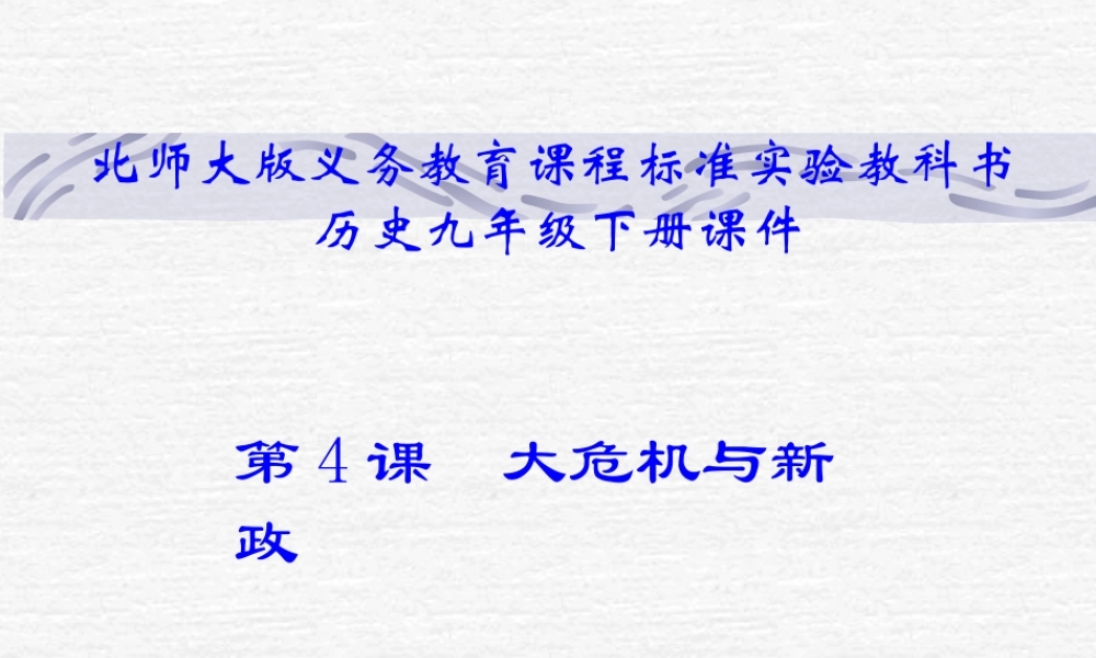 九年级历史下册 14( 大危机 与 新政 )课件 北师大版  课件