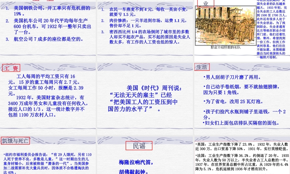 九年级历史下册 14( 大危机 与 新政 )课件 北师大版  课件