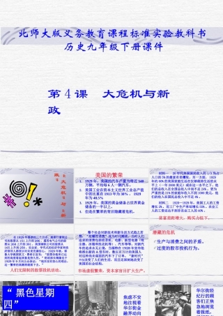 九年级历史下册 14( 大危机 与 新政 )课件 北师大版  课件