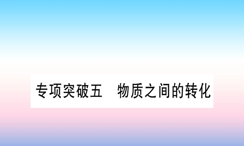 (云南专用)中考化学总复习 专项突破五 物质之间的转化课件