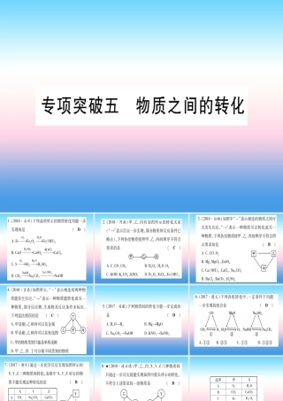 (云南专用)中考化学总复习 专项突破五 物质之间的转化课件
