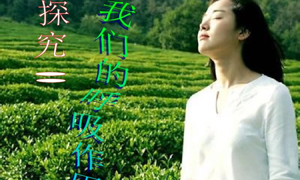 九年级化学上册 探究 我们的呼吸作用课件 (新版)粤教版 课件