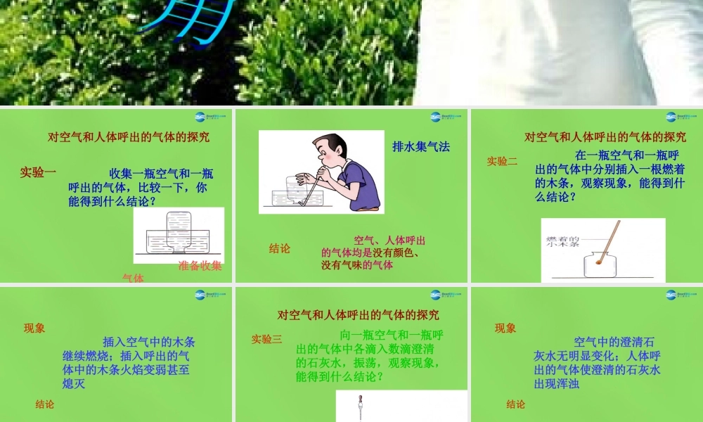 九年级化学上册 探究 我们的呼吸作用课件 (新版)粤教版 课件