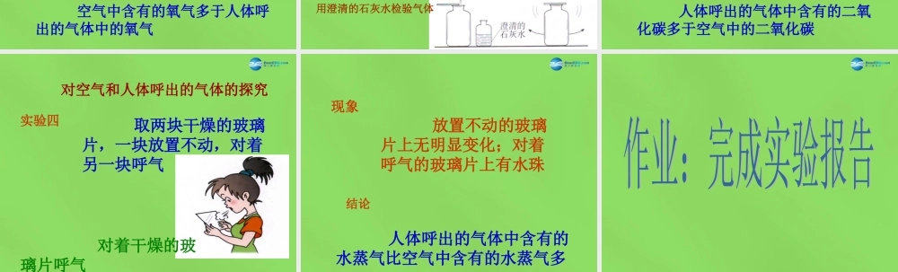 九年级化学上册 探究 我们的呼吸作用课件 (新版)粤教版 课件