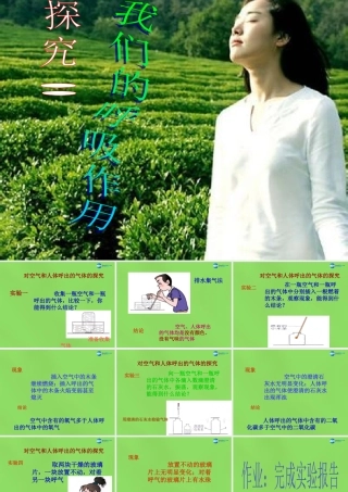 九年级化学上册 探究 我们的呼吸作用课件 (新版)粤教版 课件