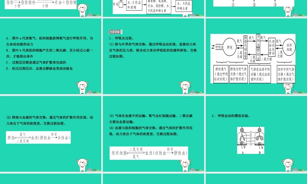 (江西专版)中考生物 第2部分 专题五 人体的代谢复习课件